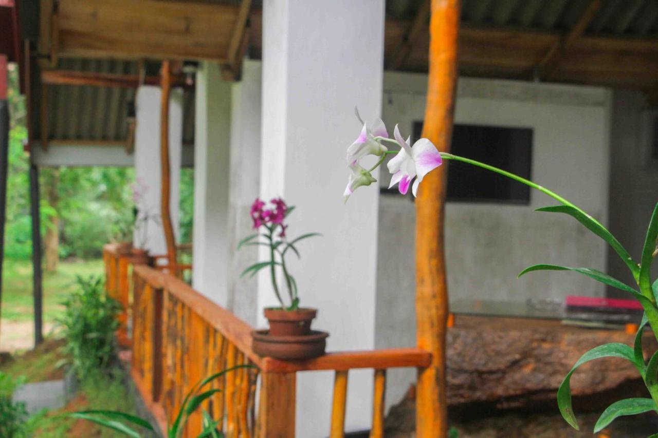 Victory Villa Sigiriya Eksteriør billede